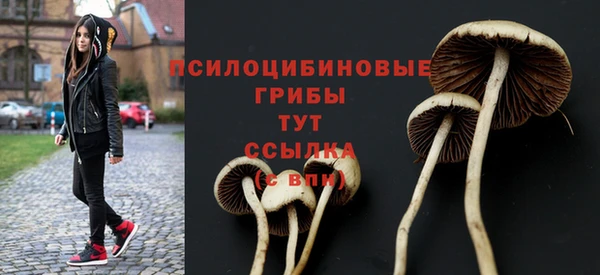 альфа пвп Бугульма