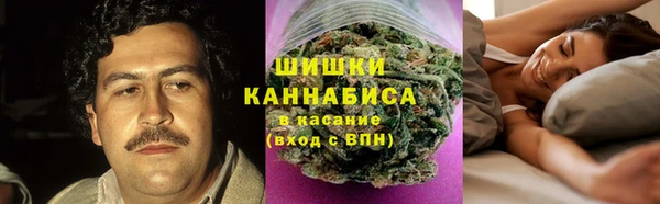 spice Бородино