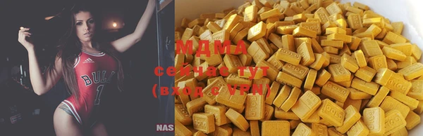 spice Бородино