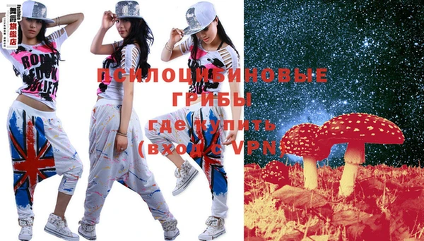 spice Бородино