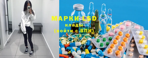 spice Бородино