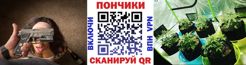 Канабис ГИДРОПОН  Ковдор 